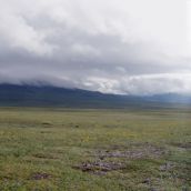 Рыбалка на трофейного хариуса